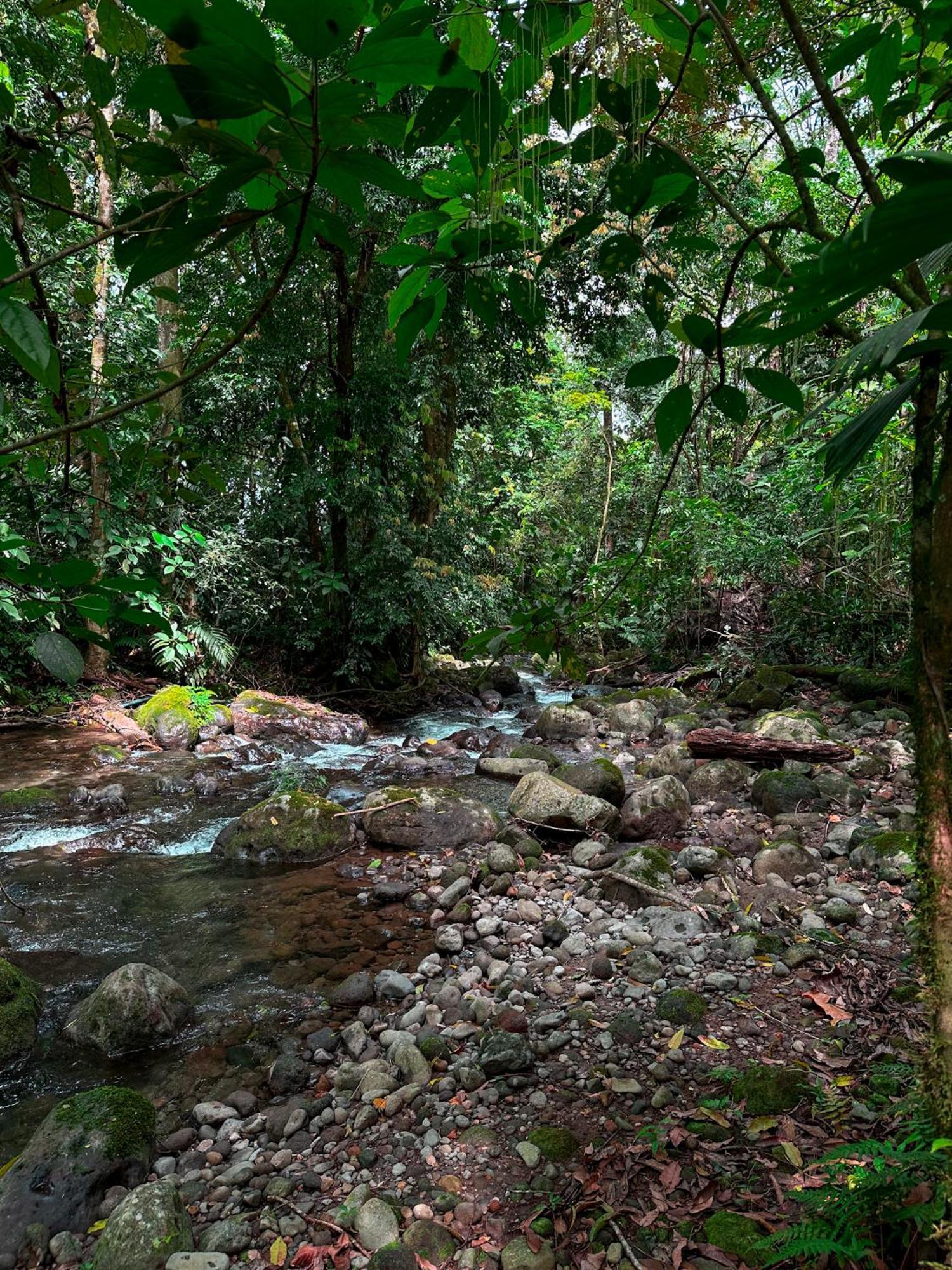Cabanas Rio Escondido En La Fortuna Eksteriør billede
