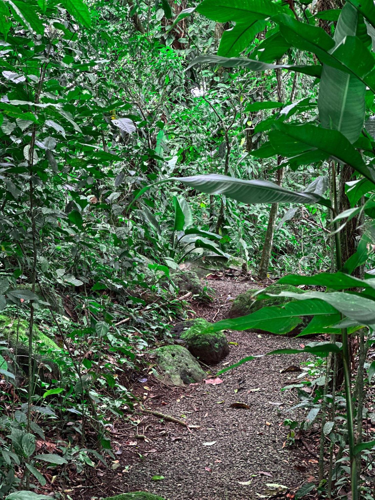 Cabanas Rio Escondido En La Fortuna Eksteriør billede