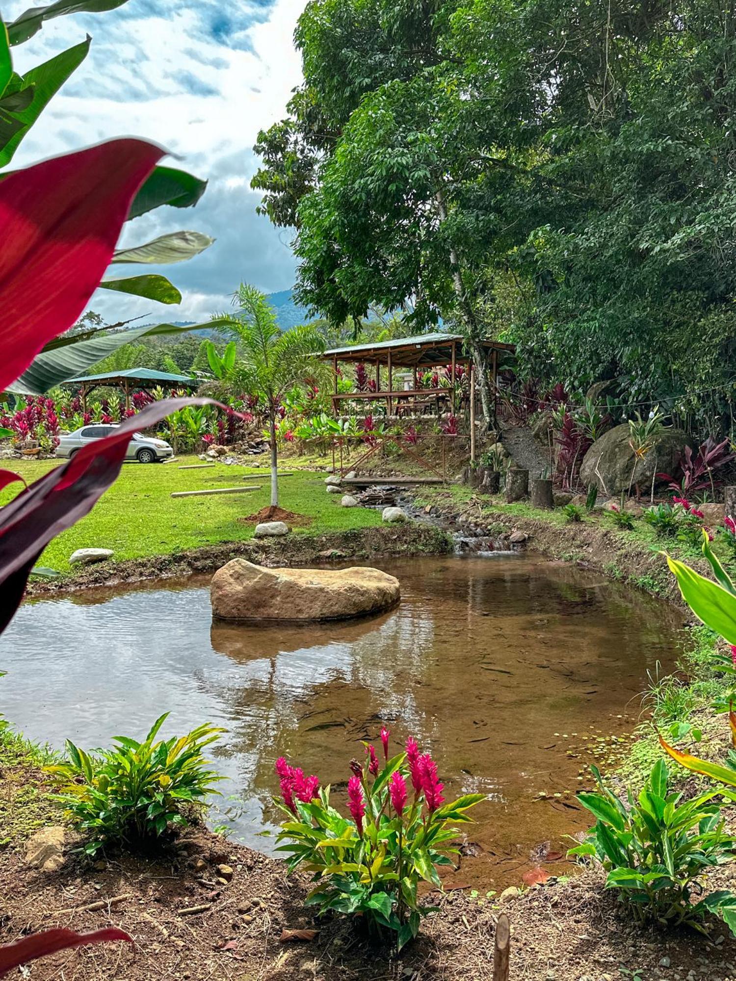 Cabanas Rio Escondido En La Fortuna Eksteriør billede