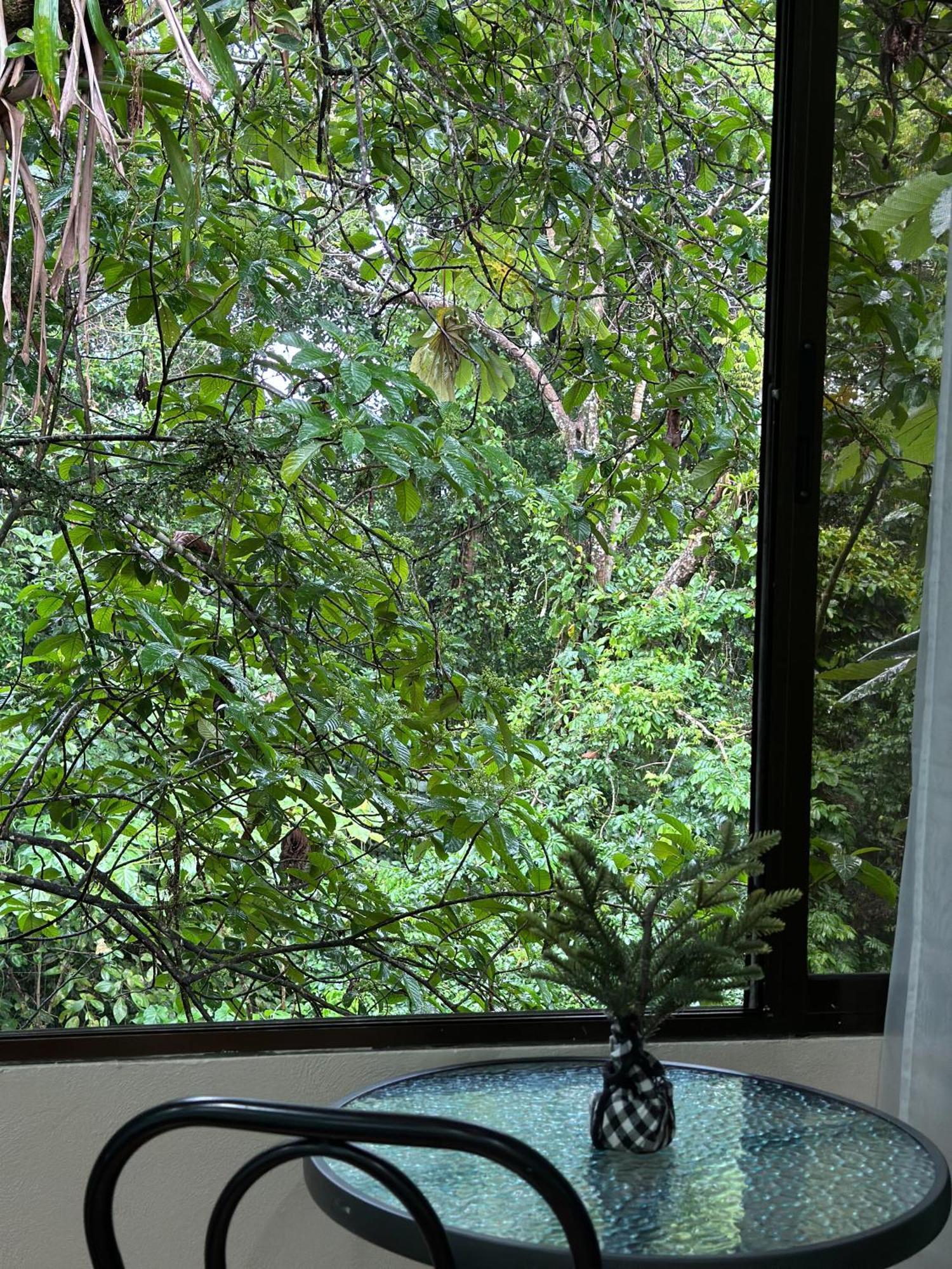 Cabanas Rio Escondido En La Fortuna Eksteriør billede
