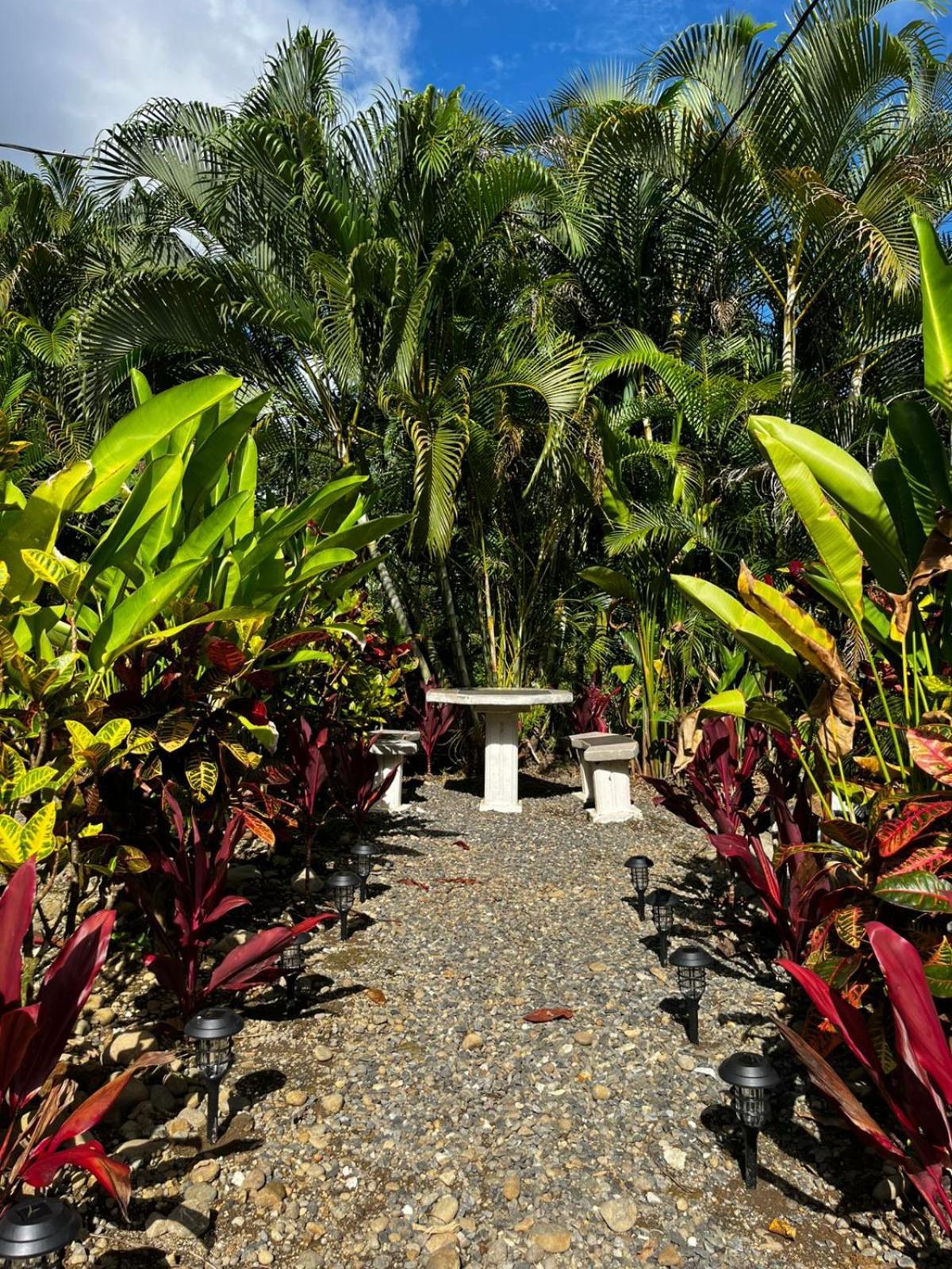 Cabanas Rio Escondido En La Fortuna Eksteriør billede